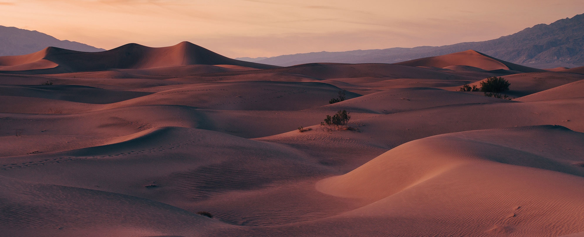 Scenic sand dunes at dusk during a vacation to Death Valley National Park in California