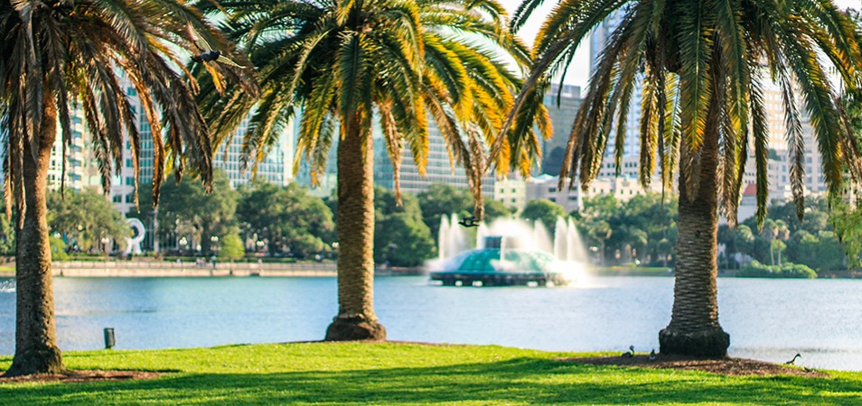 Palm trees overlooking Lake Eola in Orlando, Florida with a large fountain and city buildings