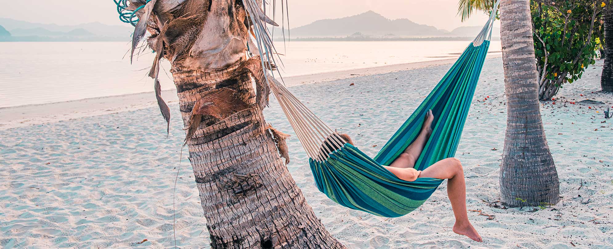 A person lounging in a hammock strung between two palm trees on a sandy beach