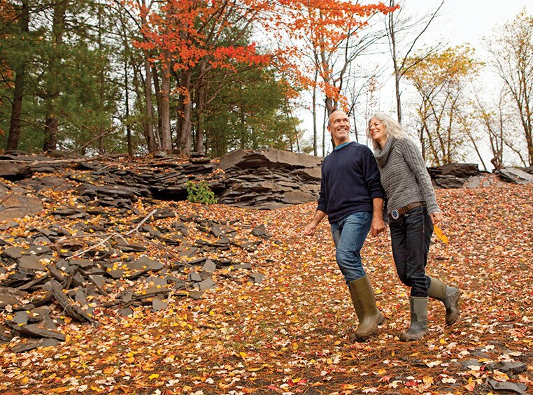 An older couple hikes through forest on an autumn day.