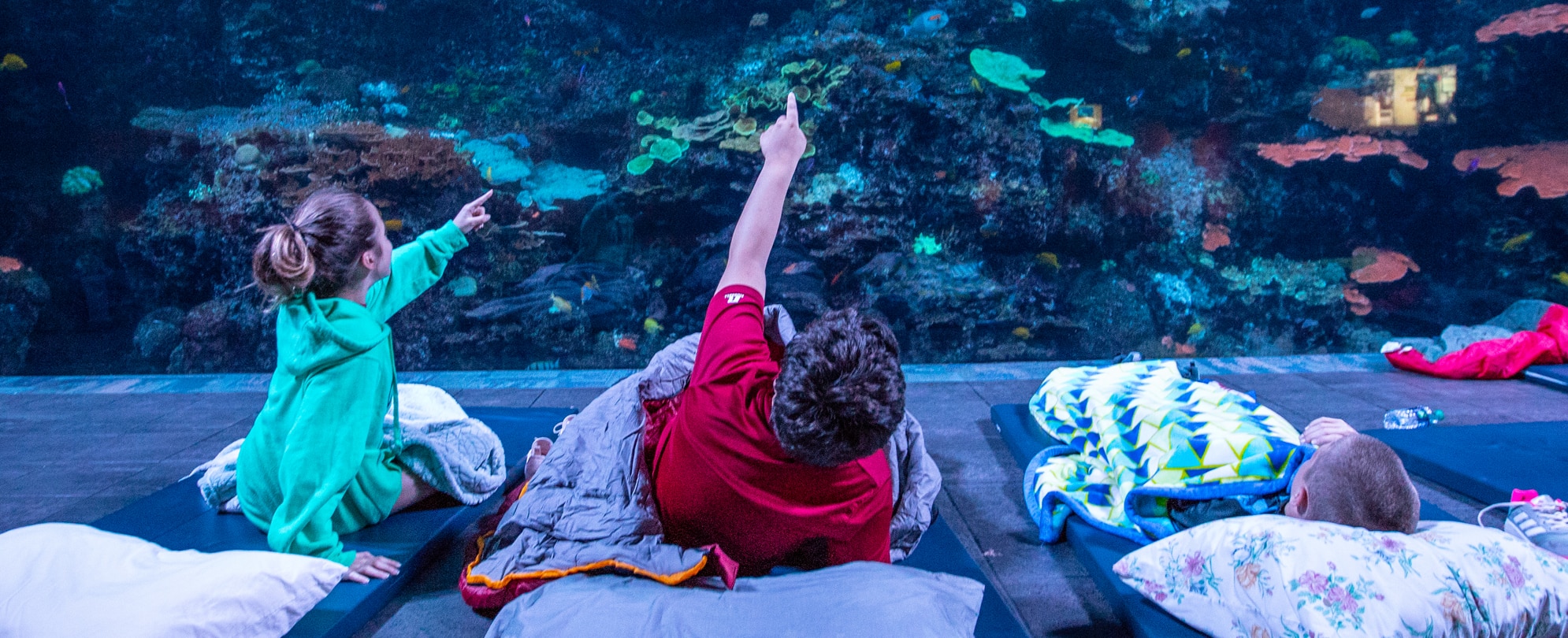 Two kids in sleeping bags point at a giant fish tank while a third child is lying next to them in a sleeping bag while attending Sleep Under the Sea at the Georgia Aquarium.