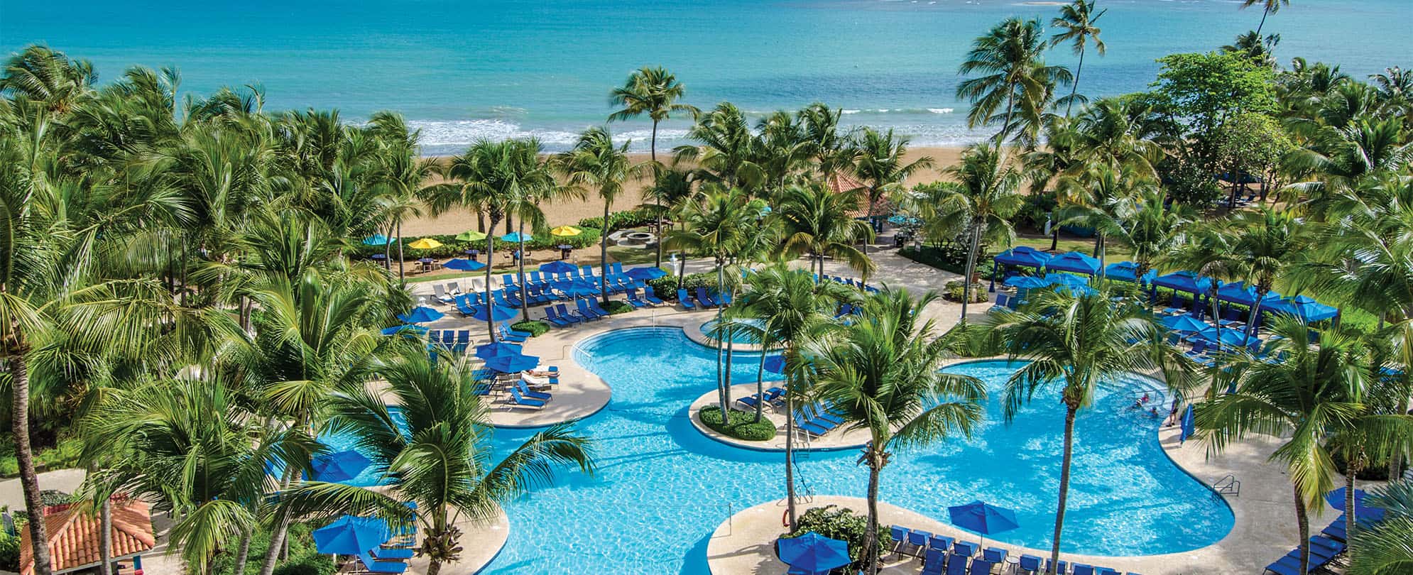Birds-eye-view of the oceanfront pool at Margaritaville Vacation Club by Wyndham - Rio Mar timeshare resort in Puerto Rico.