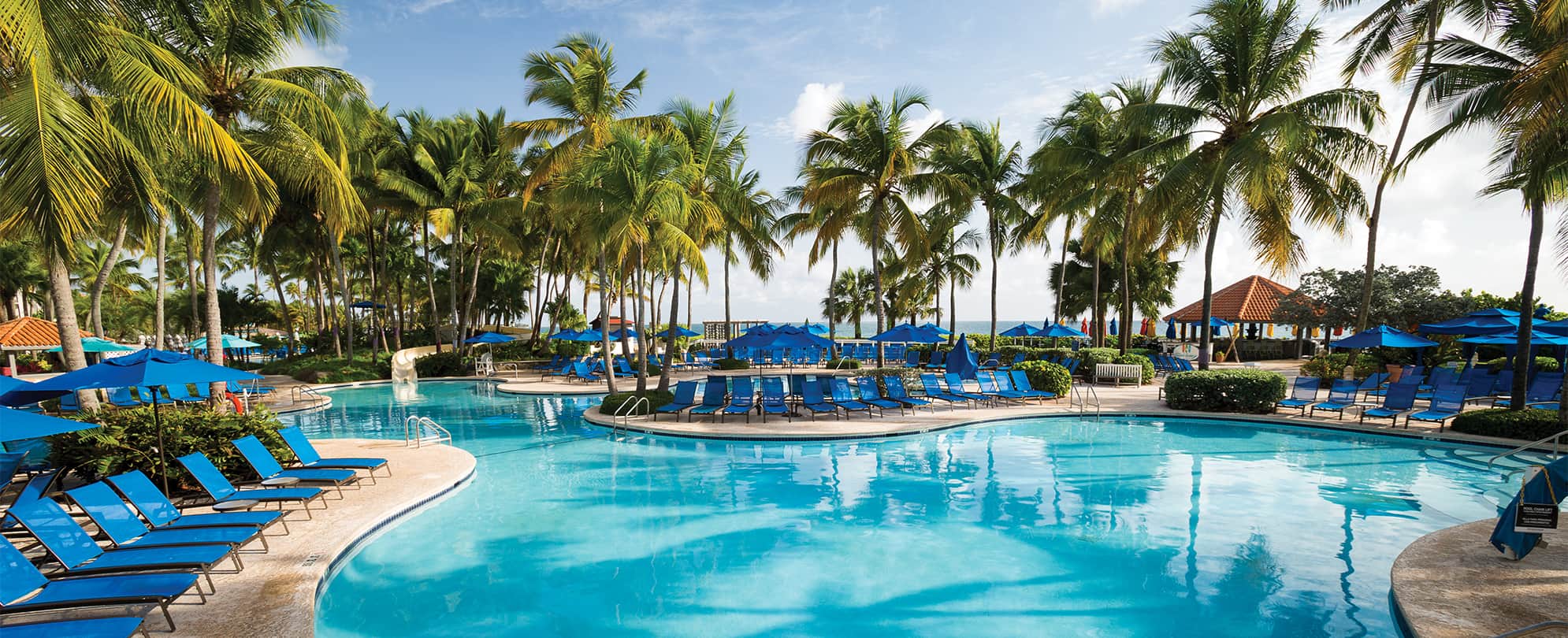An oceanfront pool with a slide surrounded by palm trees and blue chairs at Margaritaville Vacation Club resort in Rio Mar.